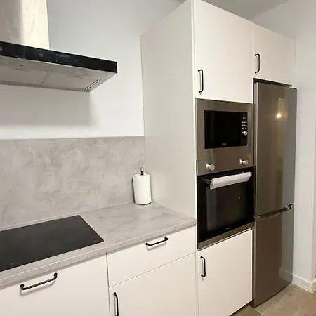 Vivienda Renovada Y Centrica Apartman